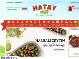 Sites similar to hataykoy.com