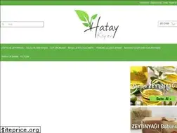 Sites similar to hataykoyevi.net