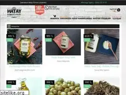 Sites similar to hataysepeti.com