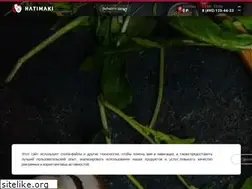 Sites similar to hatimaki.ru