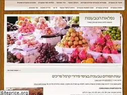 Sites similar to hativonut.wordpress.com