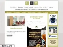 Sites similar to hatvanymuzeum.net