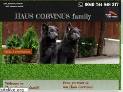 Sites similar to hauscorvinus.ro