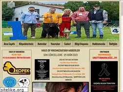 Sites similar to hausofnikomedia.com