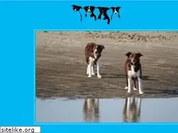 Sites similar to haustierphoto.de