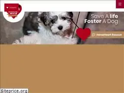Sites similar to havaheartrescue.org