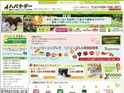 Sites similar to havanaday.jp