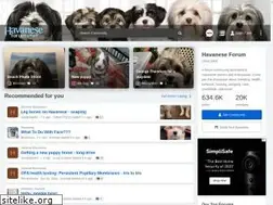 Sites similar to havaneseforum.com