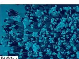 Sites similar to havasgroup.com.ar