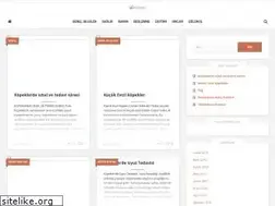 Sites similar to havla.co