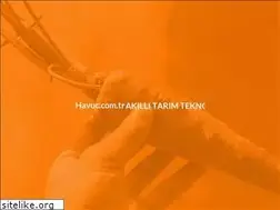 Sites similar to havuc.com.tr
