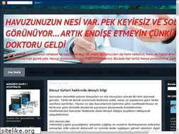 Sites similar to havuzdoktoru.blogspot.com