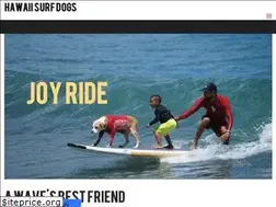 Sites similar to hawaiisurfdogs.com