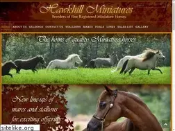 Sites similar to hawkhillminiatures.com
