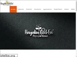 Sites similar to hayalimpeyzaj.com