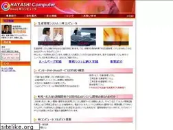 Sites similar to hayashi-computer.co.jp