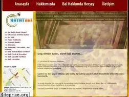 Sites similar to hayatbal.com