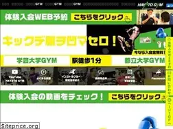 Sites similar to hayatogym.com