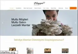 Sites similar to hayger.com