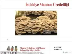 Sites similar to haygeristiridyemantari.wordpress.com