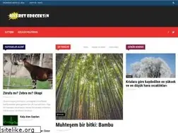 Sites similar to hayretedeceksin.com