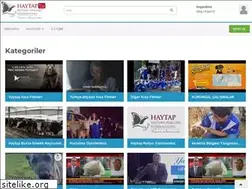 Sites similar to haytap.tv