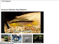 Sites similar to hayvancarlin.web.app