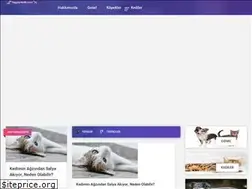 Sites similar to hayvankolik.com