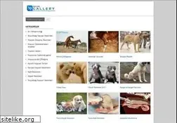 Sites similar to hayvanlarim.org