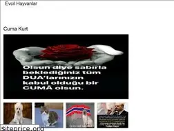 Sites similar to hayvanra.web.app