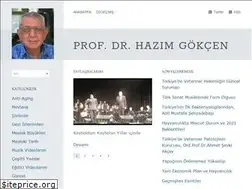 Sites similar to hazimgokcen.net