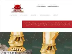 Sites similar to hazletonpumps.co.za
