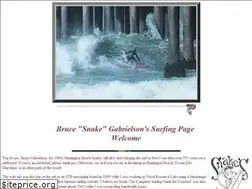 Sites similar to hbsnakesurf.com