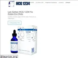 Sites similar to hcg1234.cl