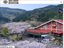 Sites similar to hd-miyazaki.com
