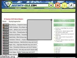 Sites similar to hdjustintvizleyin.tv