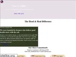 Sites similar to headandheal.com