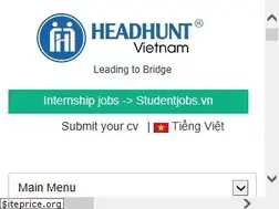 Sites similar to headhuntvietnam.com