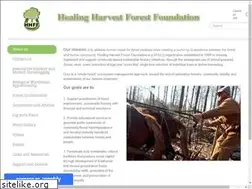 Sites similar to healingharvestforestfoundation.org