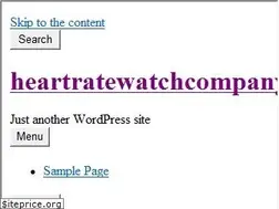 Sites similar to heartratewatchcompany.com