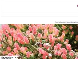 Sites similar to heathersociety.org