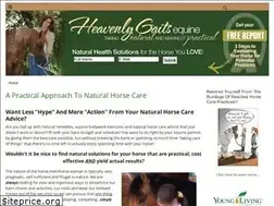 Sites similar to heavenlygaitsequinemassage.com
