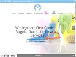Sites similar to heavensentcleaning.co.nz