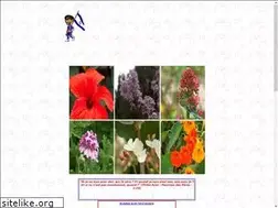 Sites similar to hebreunet.org