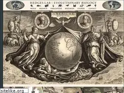 Sites similar to hedgeslab.org