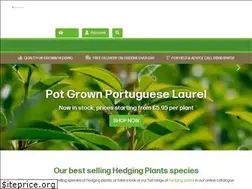 Sites similar to hedgingplantsdirect.co.uk