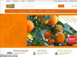 Sites similar to hediyelikbahcem.com