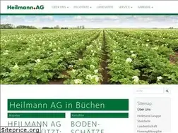 Sites similar to heilmann-ag.de