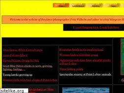 Sites similar to heisingart.com