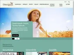 Sites similar to hekimogullari.com